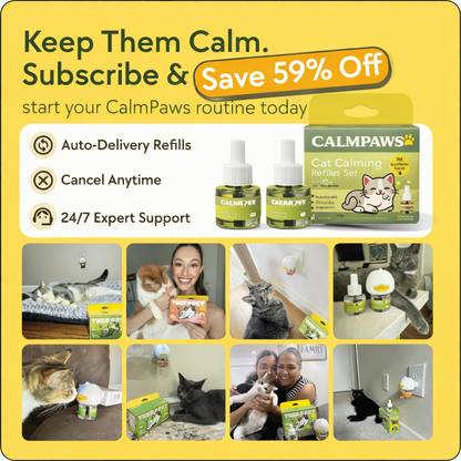 CalmPaws Cat Calming Diffuser