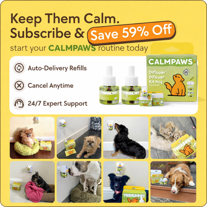 CalmPaws Calming Diffuser Kit