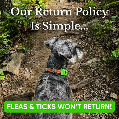 PawSure Flea & Tick Repellent