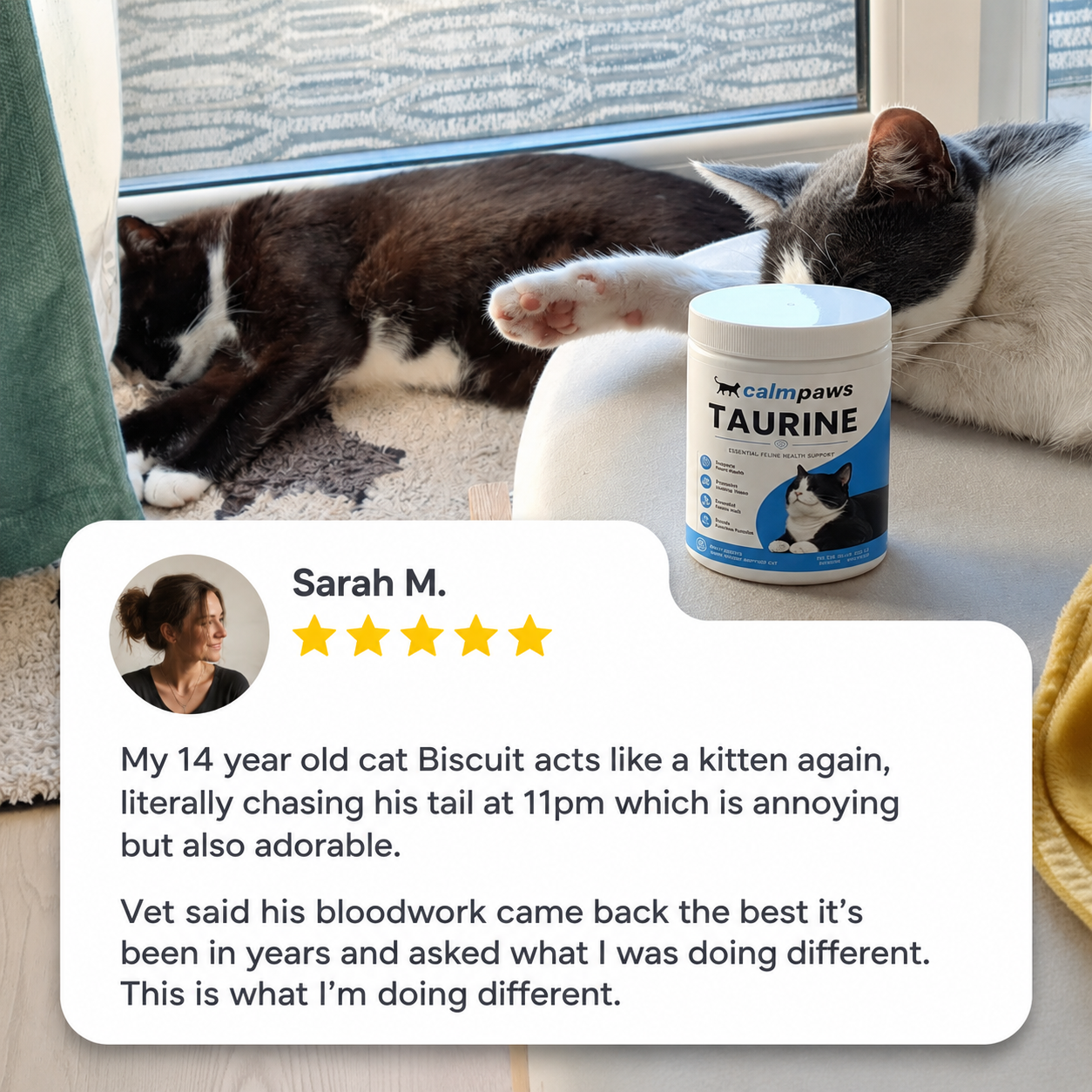 CalmPaws Taurine Refill