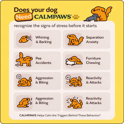 CalmPaws Calming Diffuser Kit