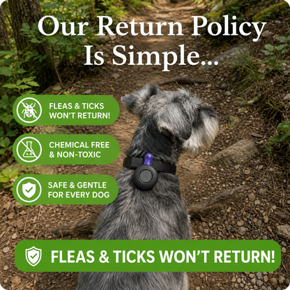 PawSure Repellant