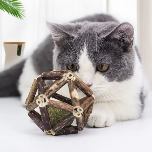 CalmPaws ChewBall