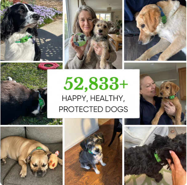 PawSure Flea & Tick Repellent